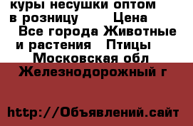 куры несушки.оптом 170 в розницу 200 › Цена ­ 200 - Все города Животные и растения » Птицы   . Московская обл.,Железнодорожный г.